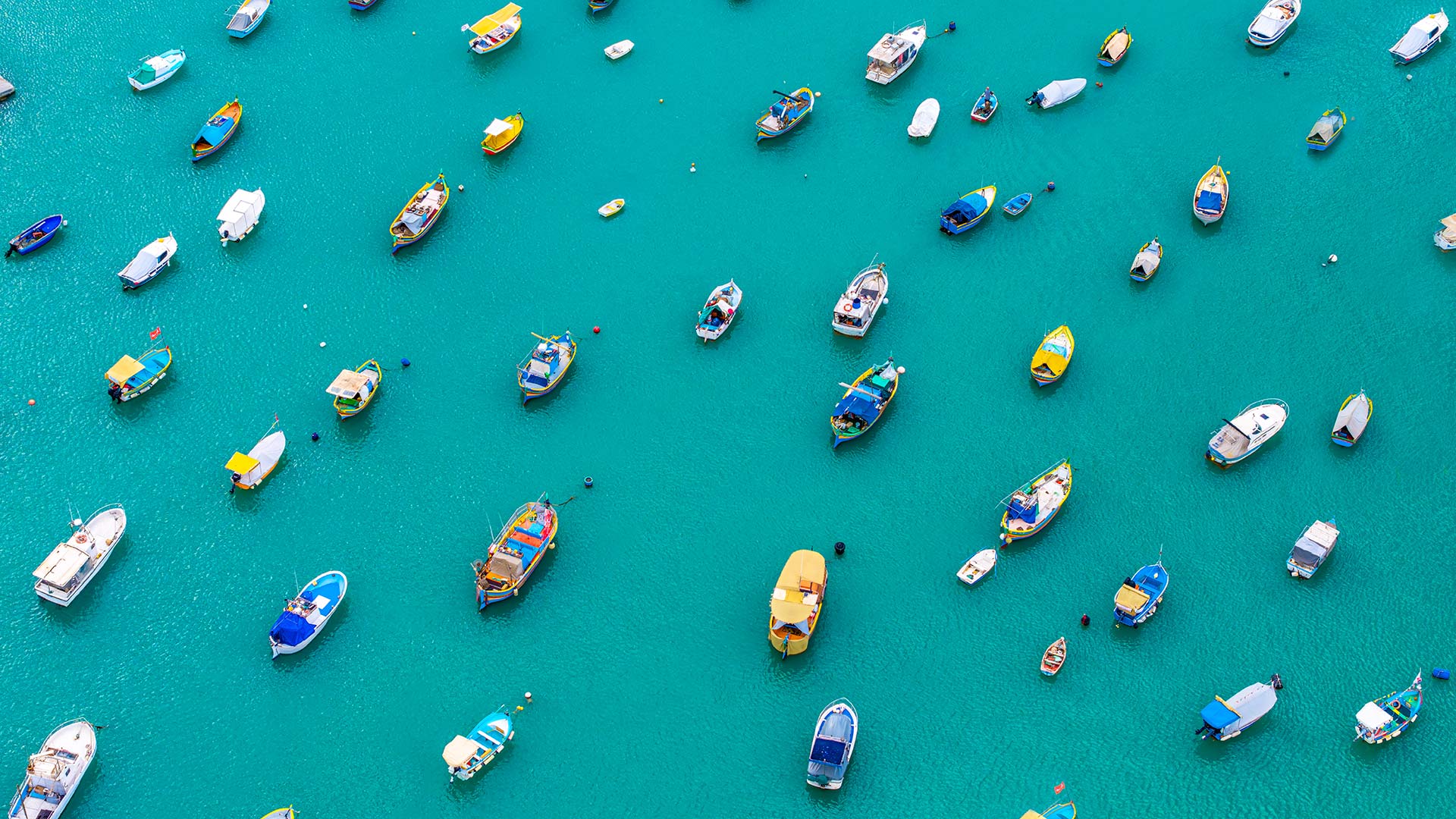 Bright boats, timeless traditions