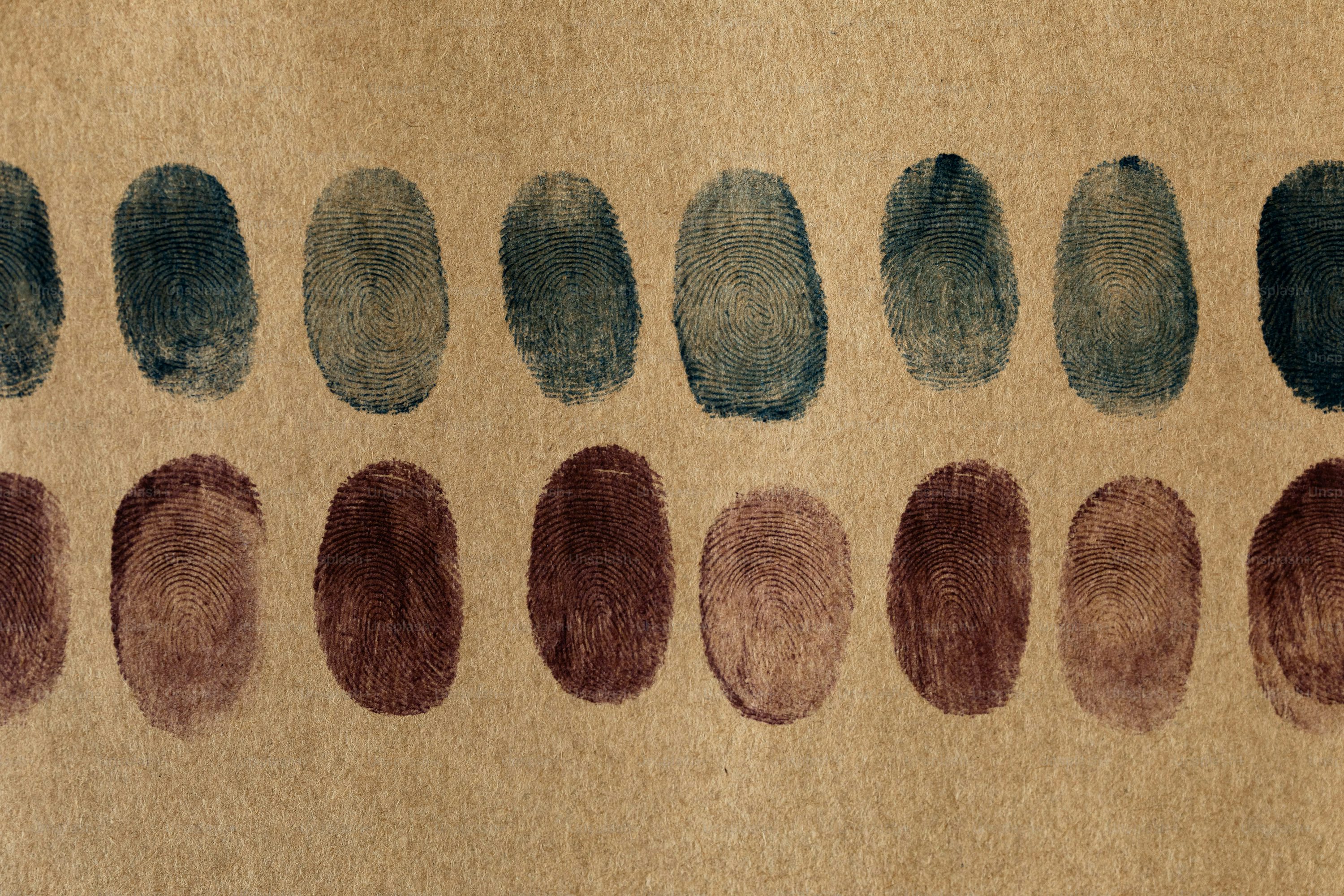 Rows of blue and brown fingerprint impressions on a textured tan paper surface